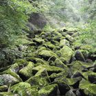 Die Steinerne Mühl im Mühlviertel (Österreich)