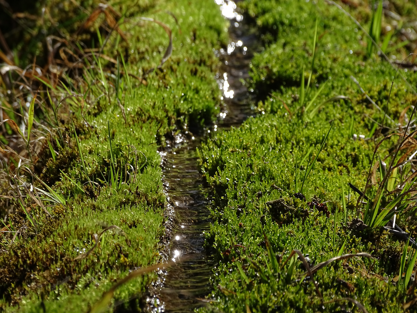 Die Steinerne Rinne