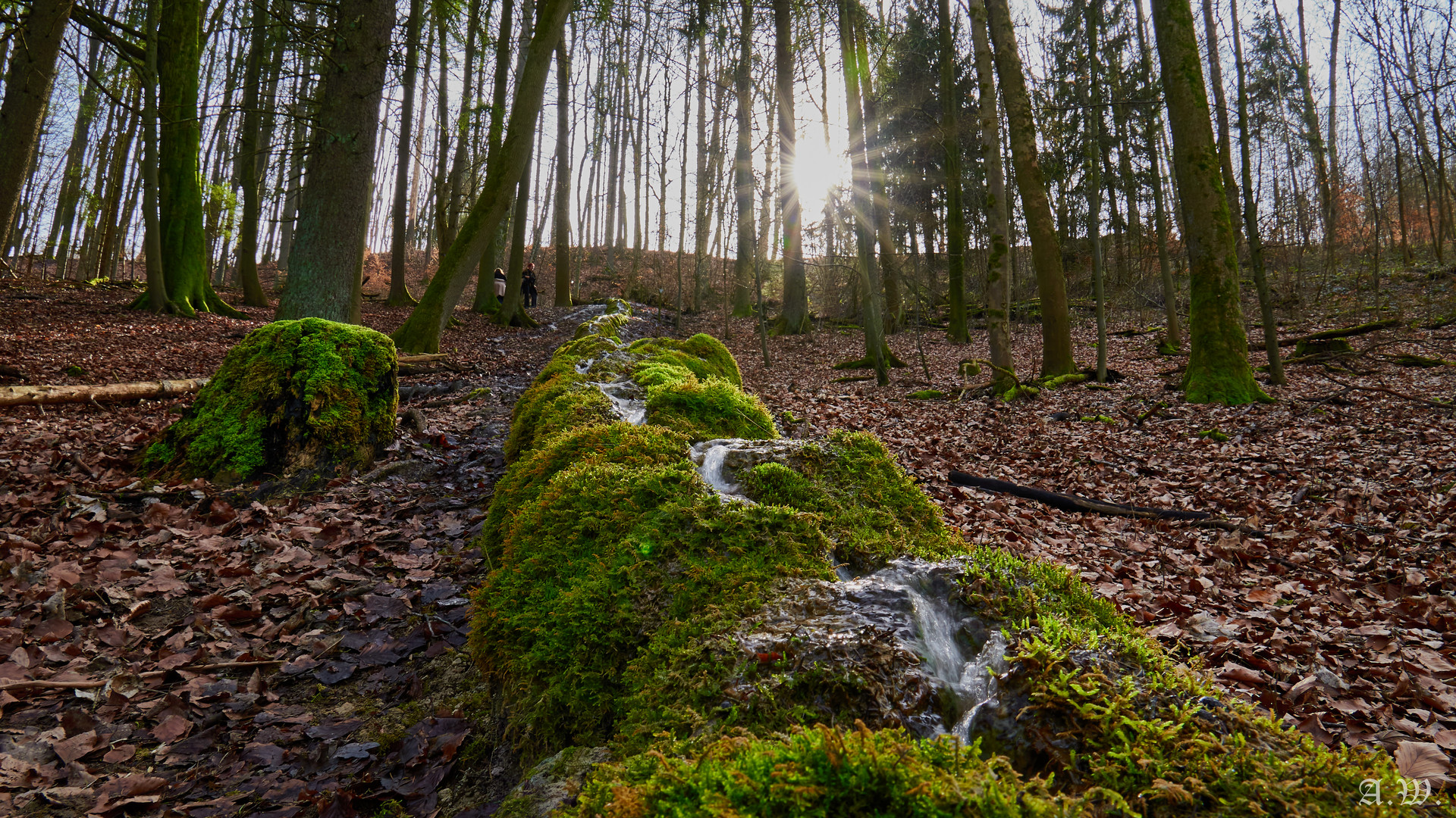 Die steinerne Rinne