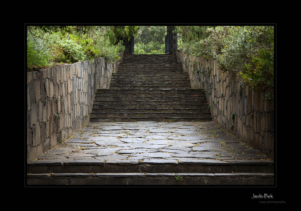 Die steinerne Treppe