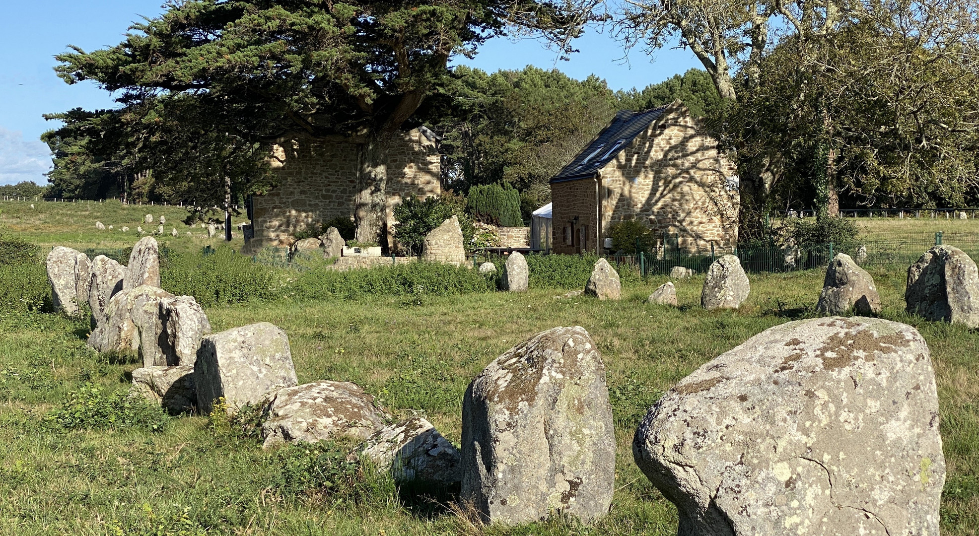 Die Steinreihen von Carnac