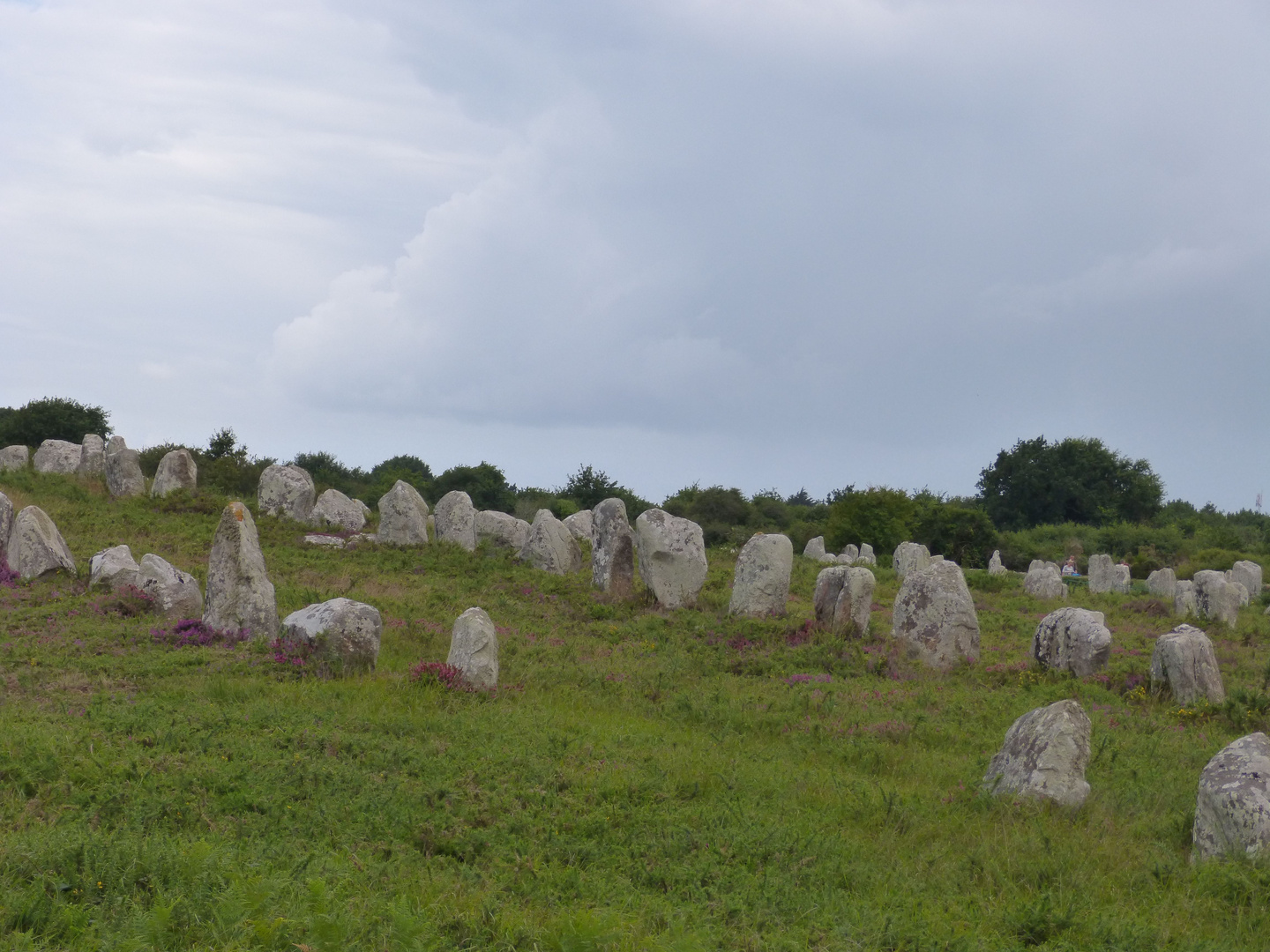 Die Steinreihen von Carnac