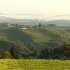 Die steirische Toskana