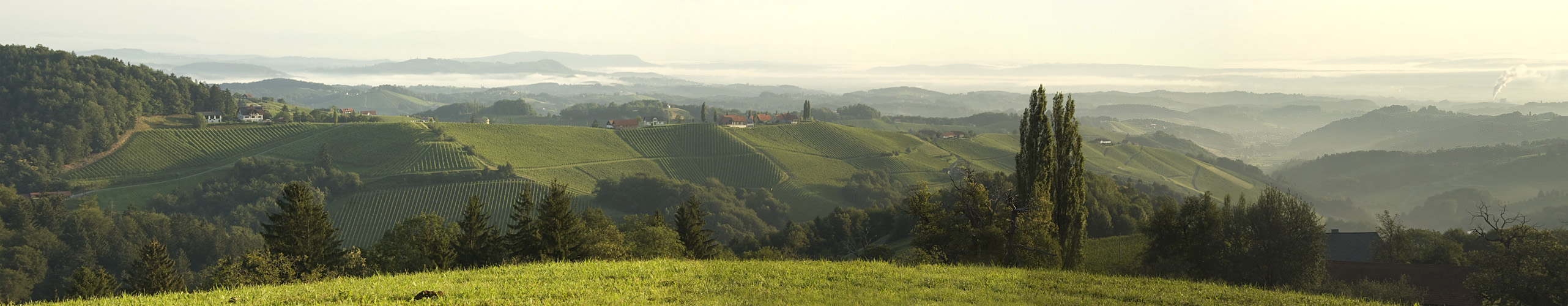 Die steirische Toskana