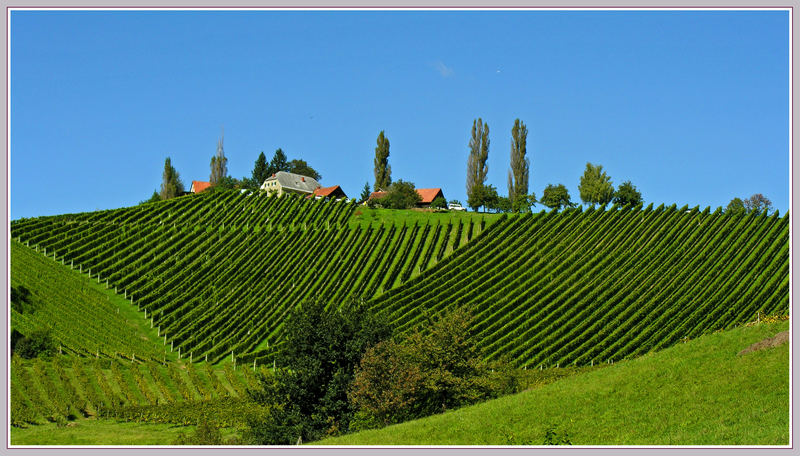 Die steirische Toskana