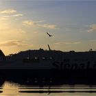 Die Stena im Abendlicht