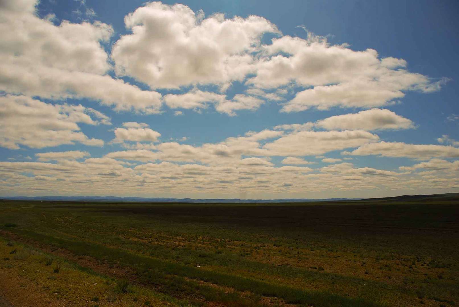 Die Steppe.