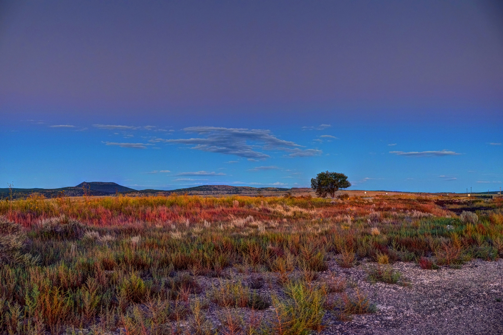 Die Steppe