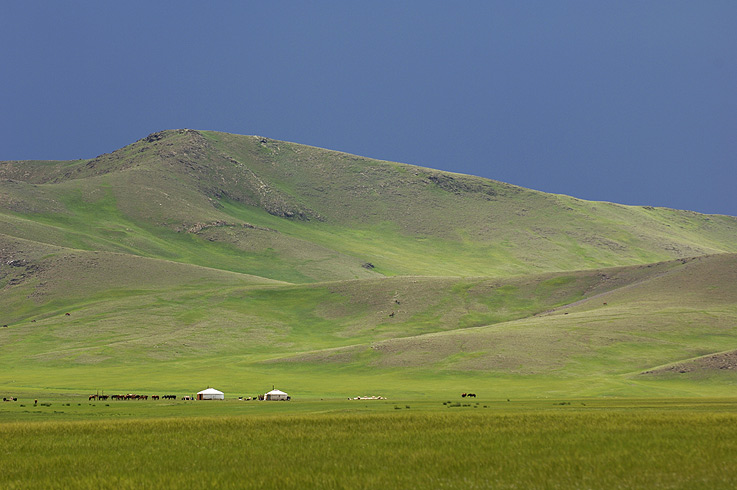 Die Steppe nach dem grossen Regen