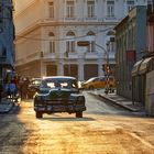 die Sternchen von Havanna