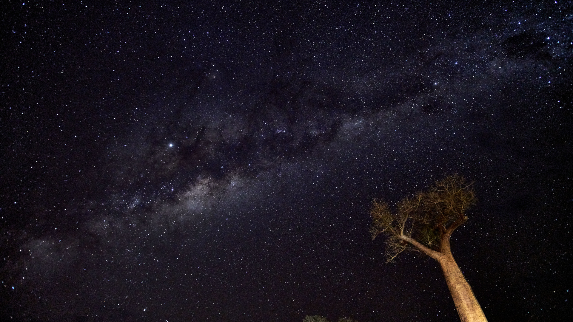 Die Sterne über Madagascar