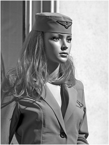 Die Stewardess