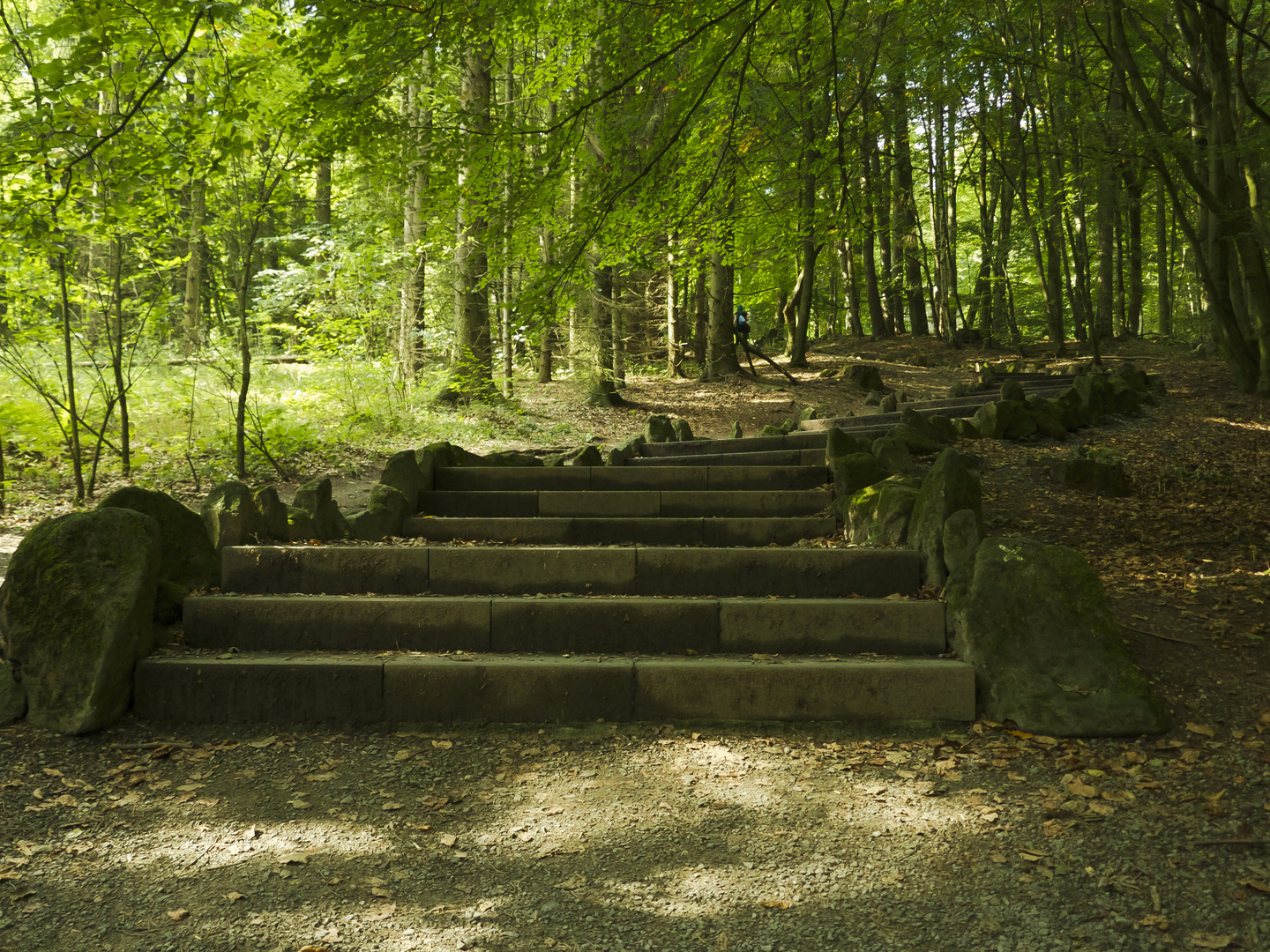 Die Stiege ins unbekannte