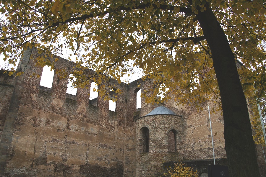 Die Stiftsruine 3 Bad Hersfeld (Hessen)