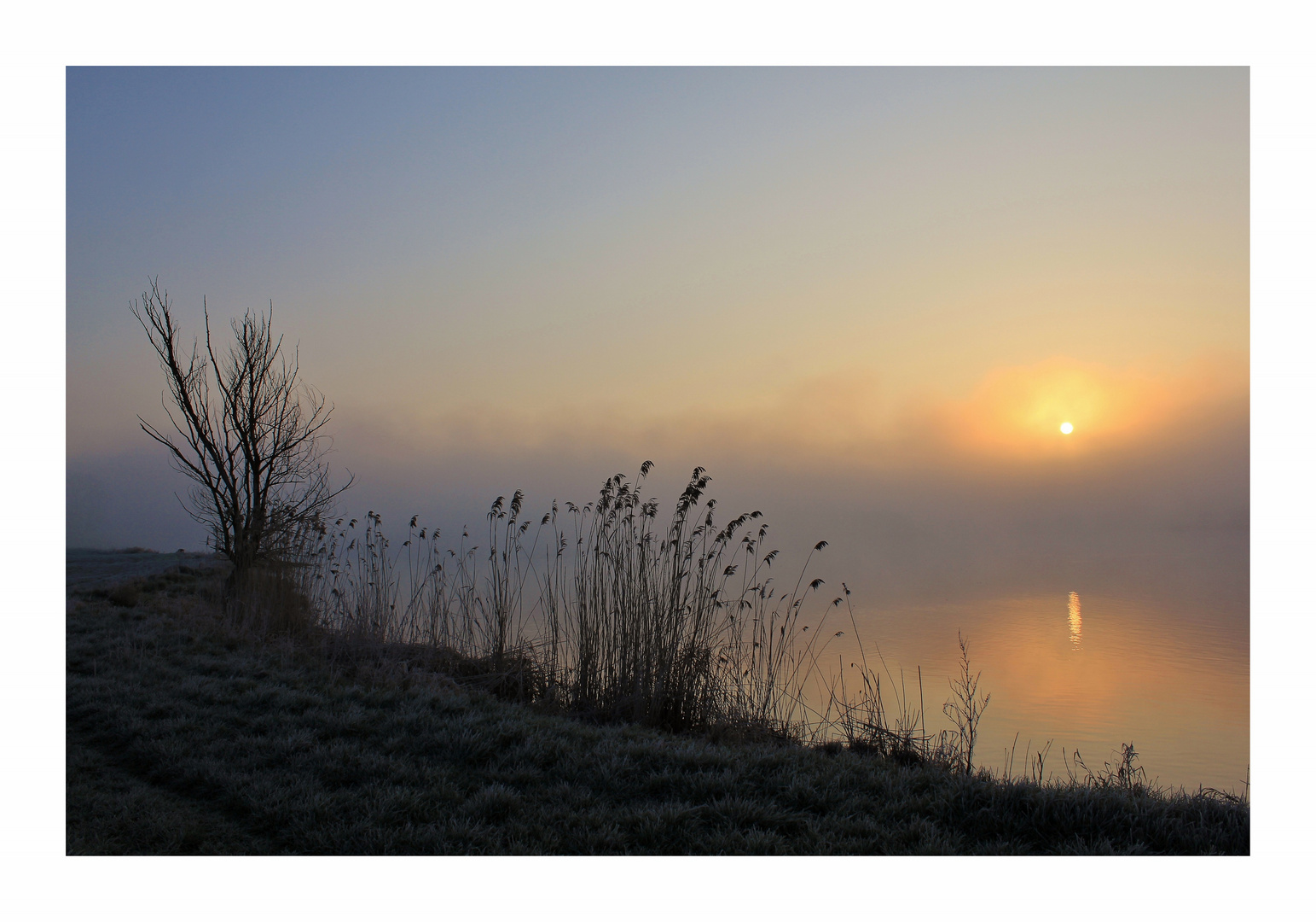 Die Stille am Fluss