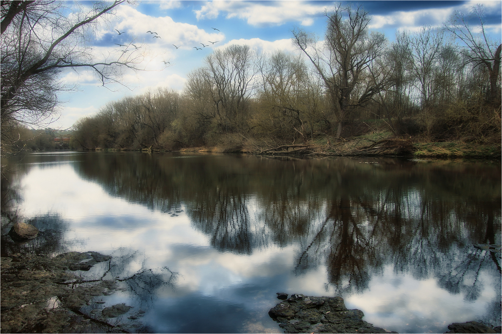 Die Stille am Neckar!