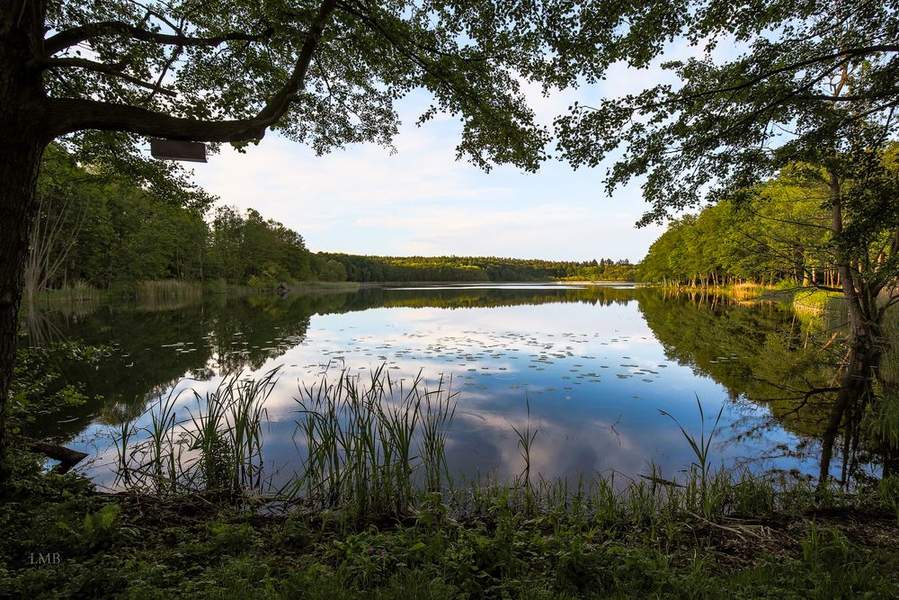 Die Stille am See