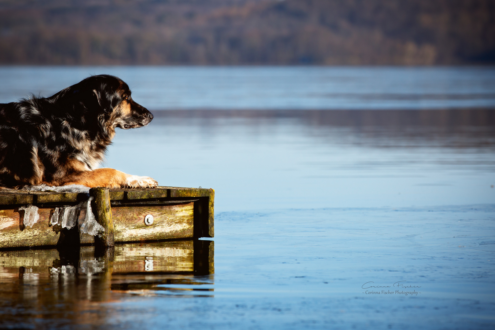 * Die Stille am See *