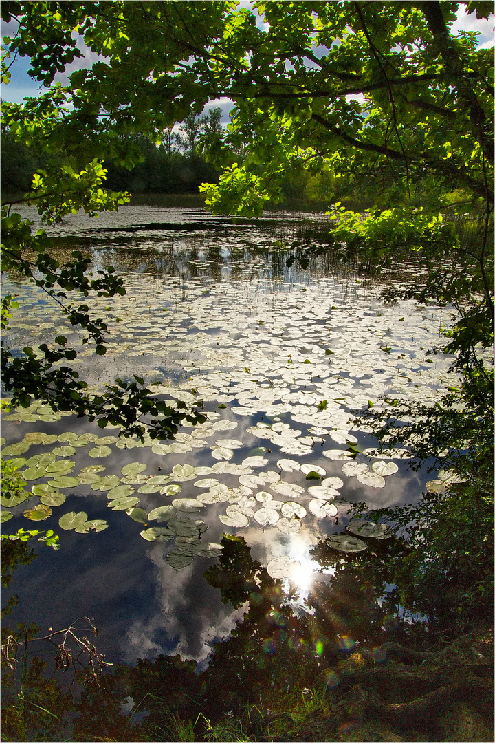 Die Stille am See ist einfach herrlich!