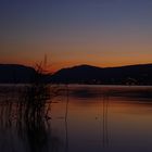 Die stille am See....Gampelen am Neuenburgersee