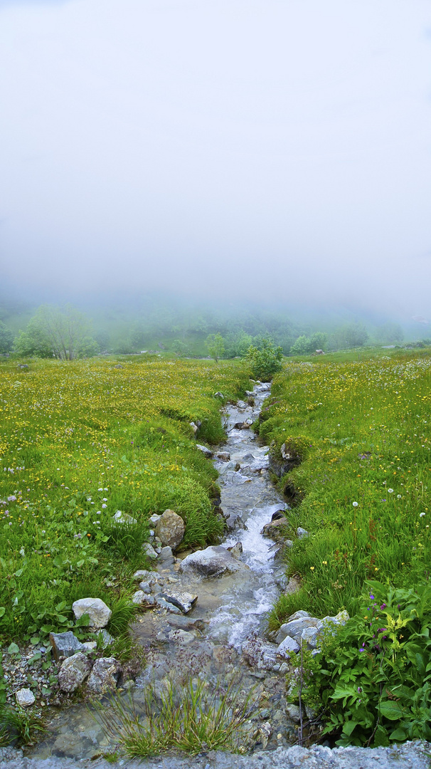 Die stille der Natur