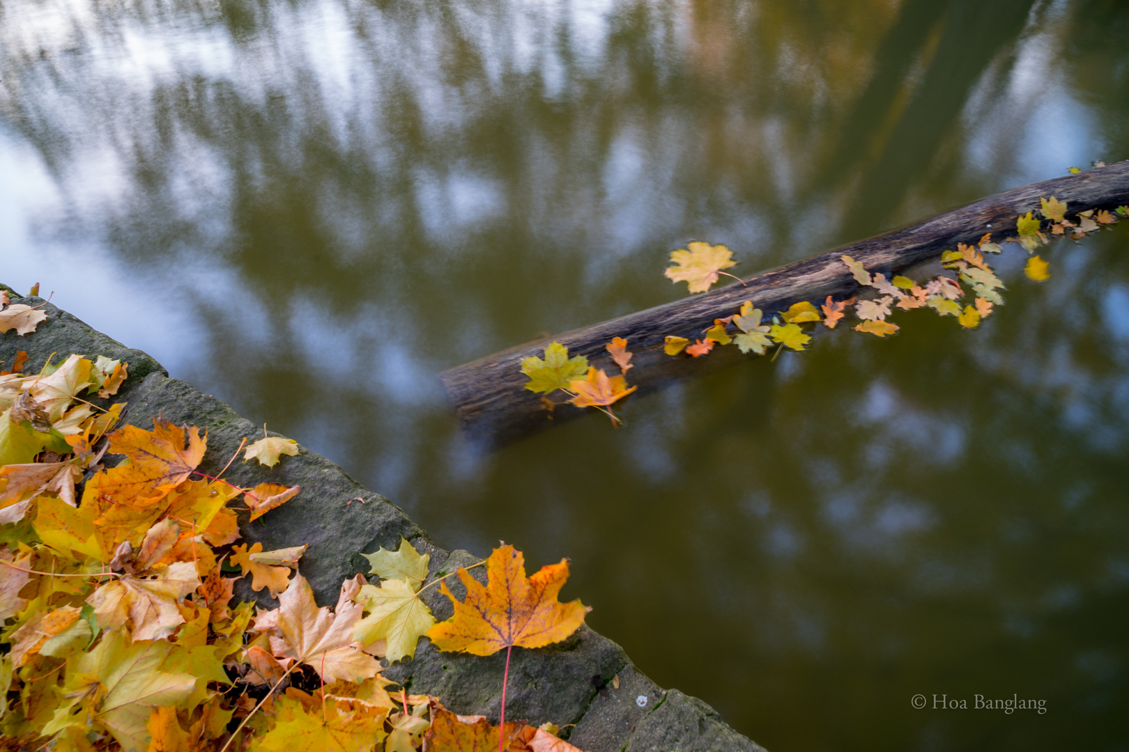 die Stille des Herbstes 2