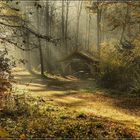 die Stille des Herbstes im Morgennebel