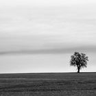 Die Stille des Januars - Le silence de janvier