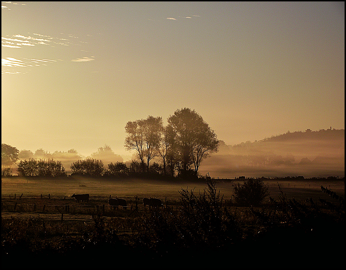 Die Stille des Morgens