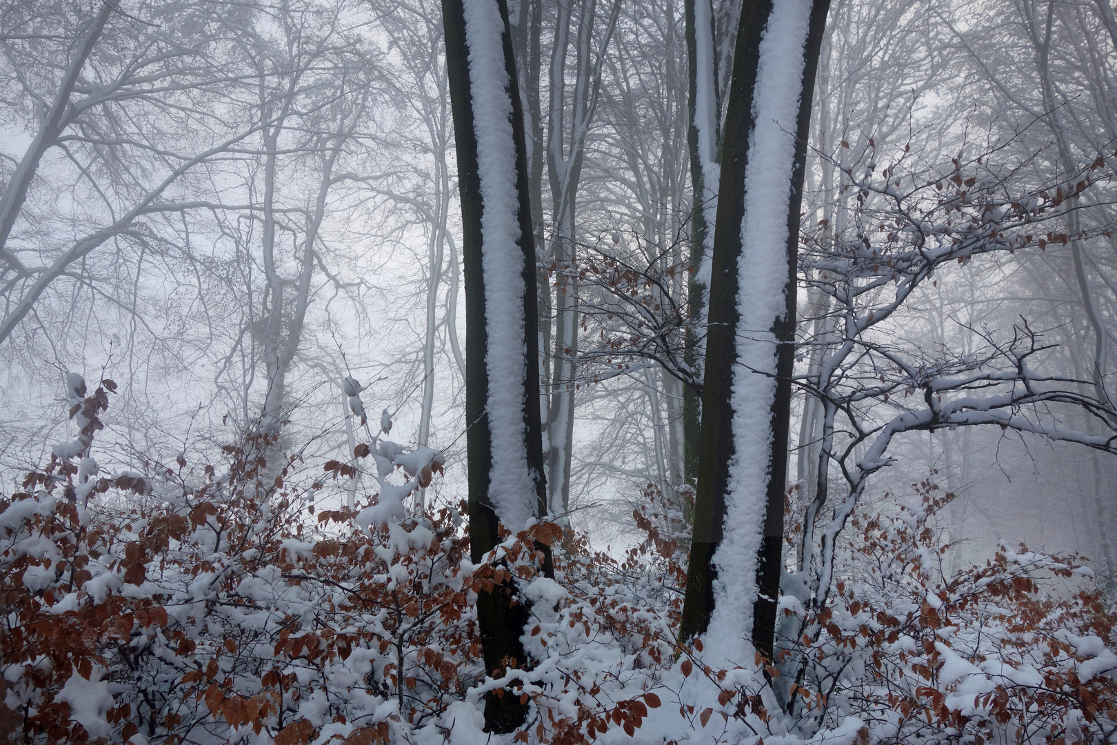 die Stille geniessen