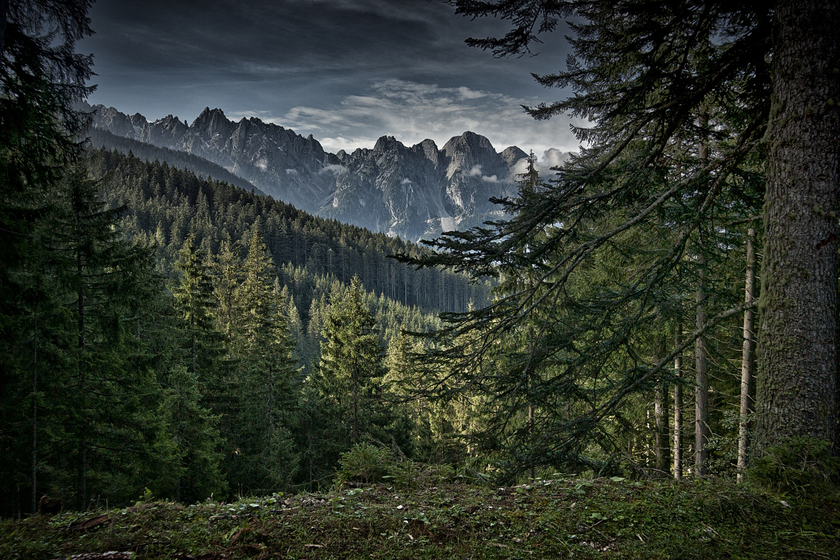 die Stille hören