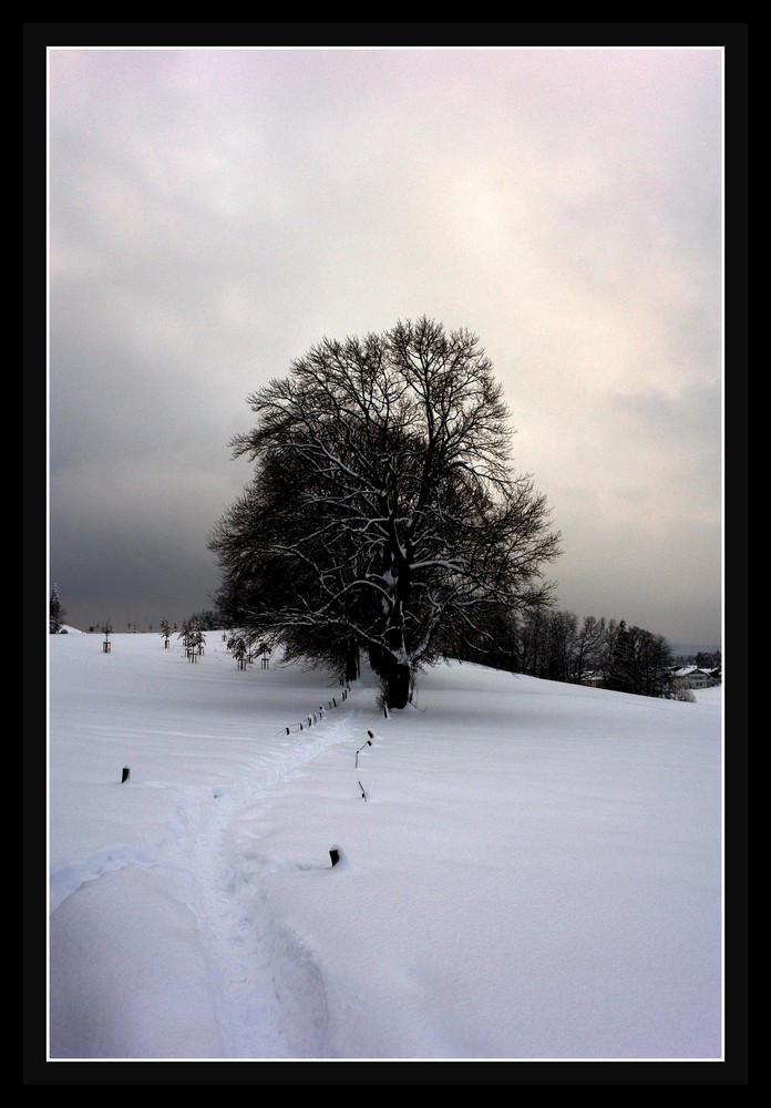 Die Stille im Winter