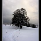 Die Stille im Winter