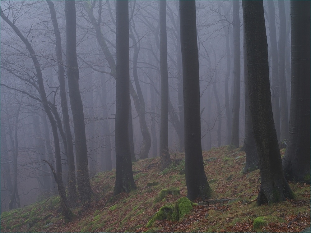 die stille Jahreszeit