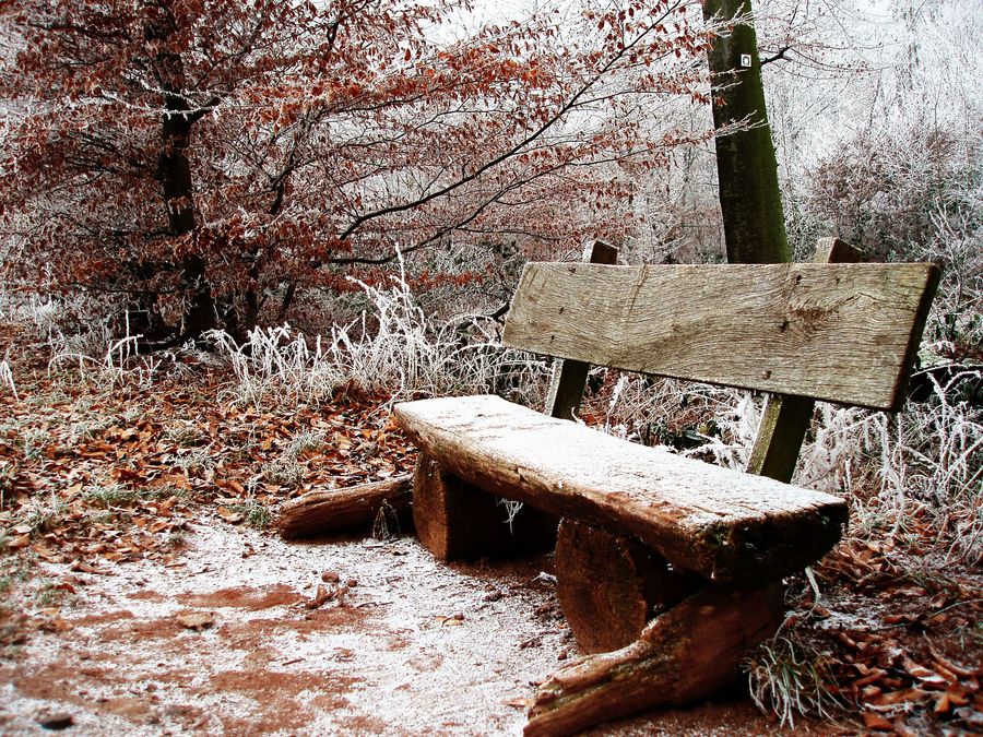 Die Stille knistender Schneeflocken