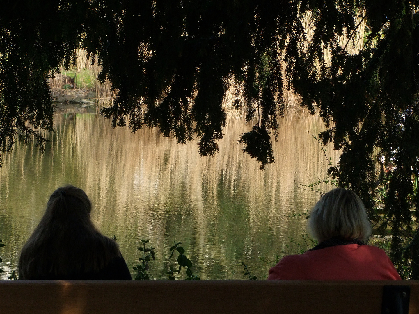 die Stille-Natur geniessen