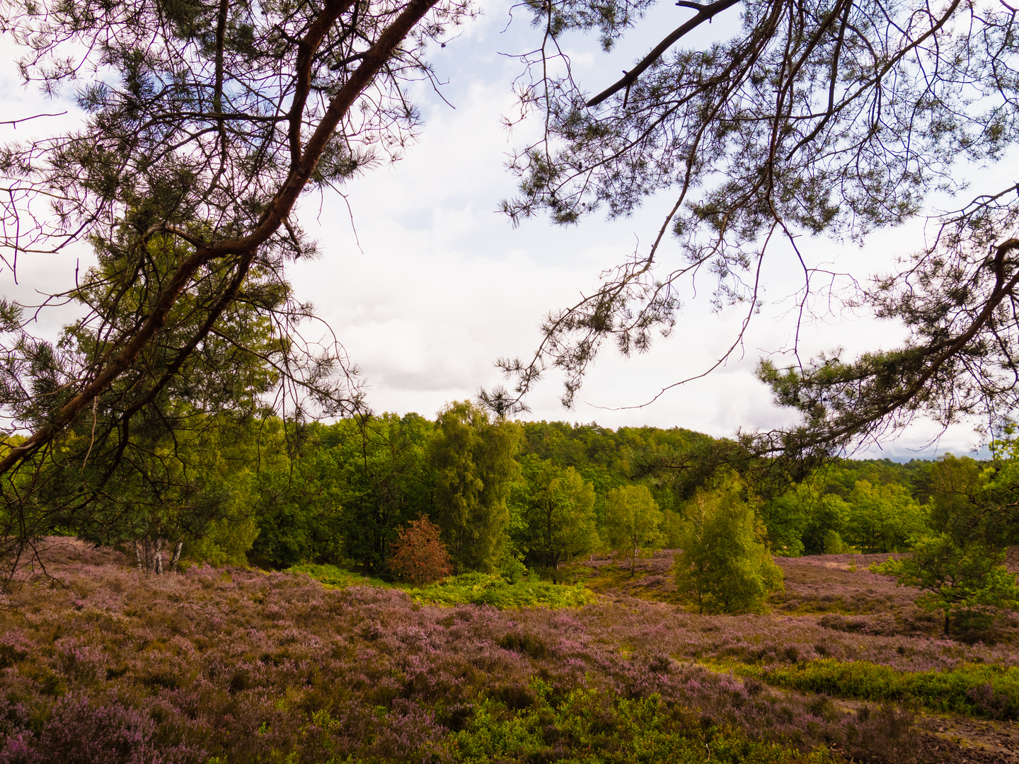 Die Stille und Ruhe der Landschaft gibt mir Kraft