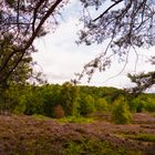 Die Stille und Ruhe der Landschaft gibt mir Kraft