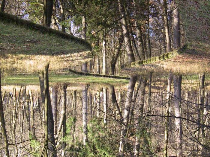 Die Stille verwirrt das Gehirn