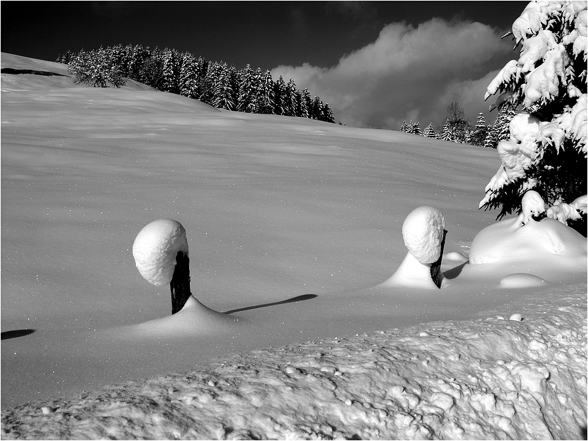 Die stille Zeit