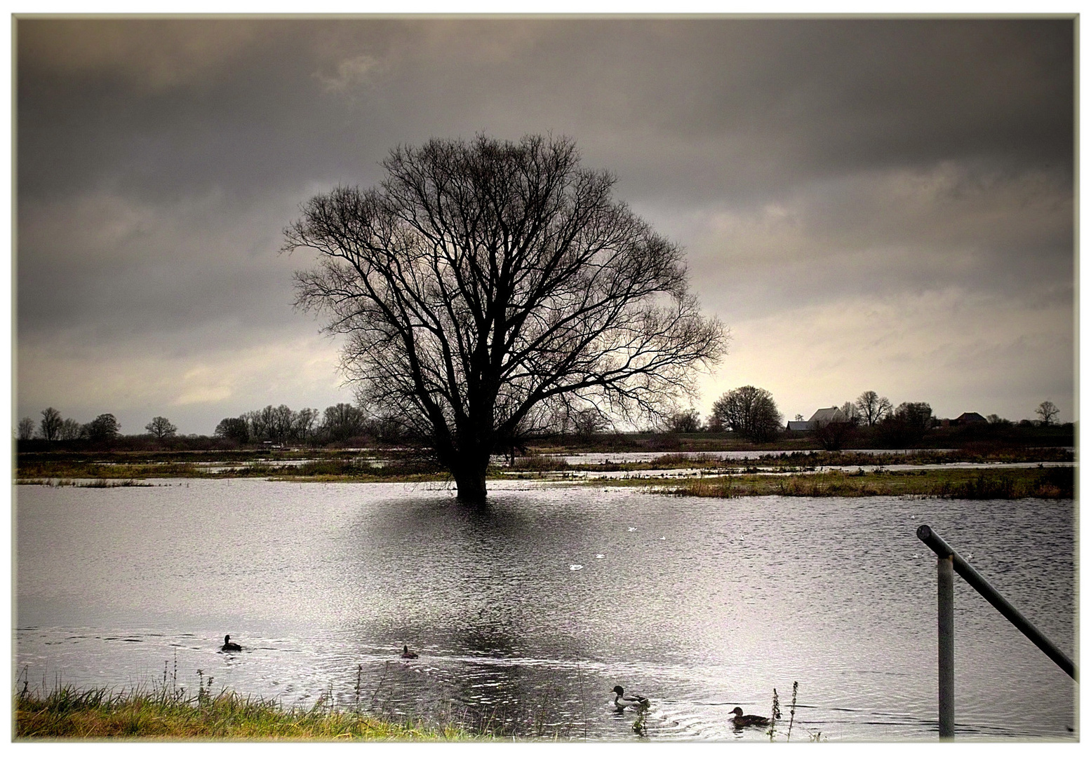 Die Stimmung im November