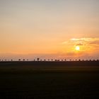 die Stockacher-Strasse bei Sauldorf im Abendlicht