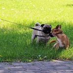 Die Stöckchen-Diskussion