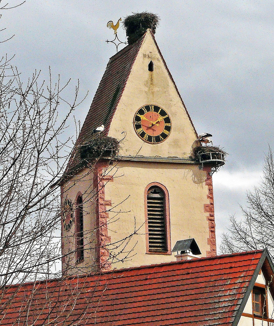 Die Störche sind wieder da