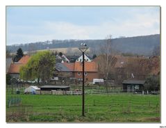 Die Störche und ihr Dorf ; Hollenstedt.