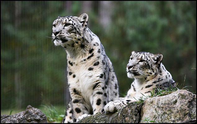 Die stolzen Eltern ...