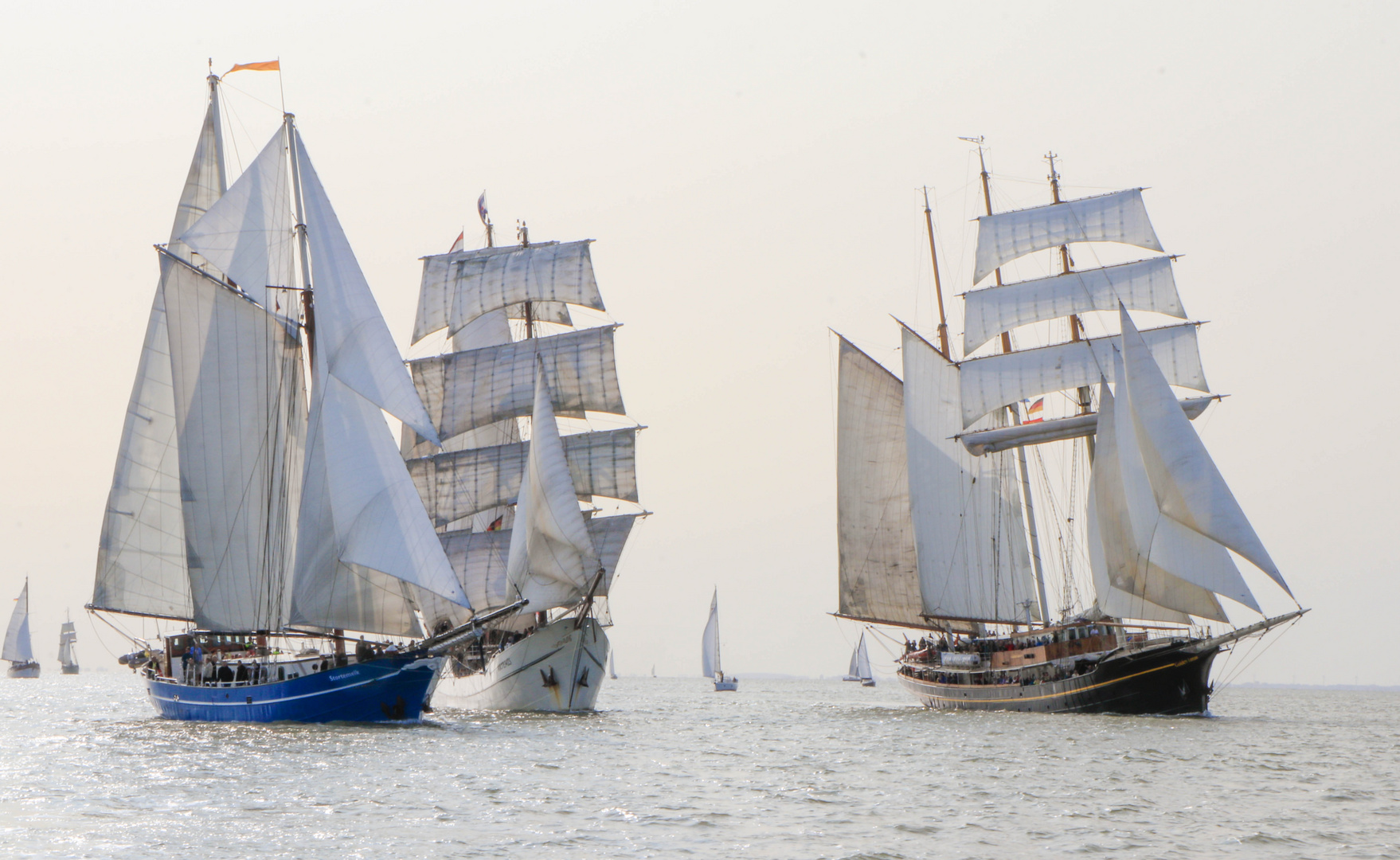 Die Stortemelk, Artemis, Gulden Leeuw