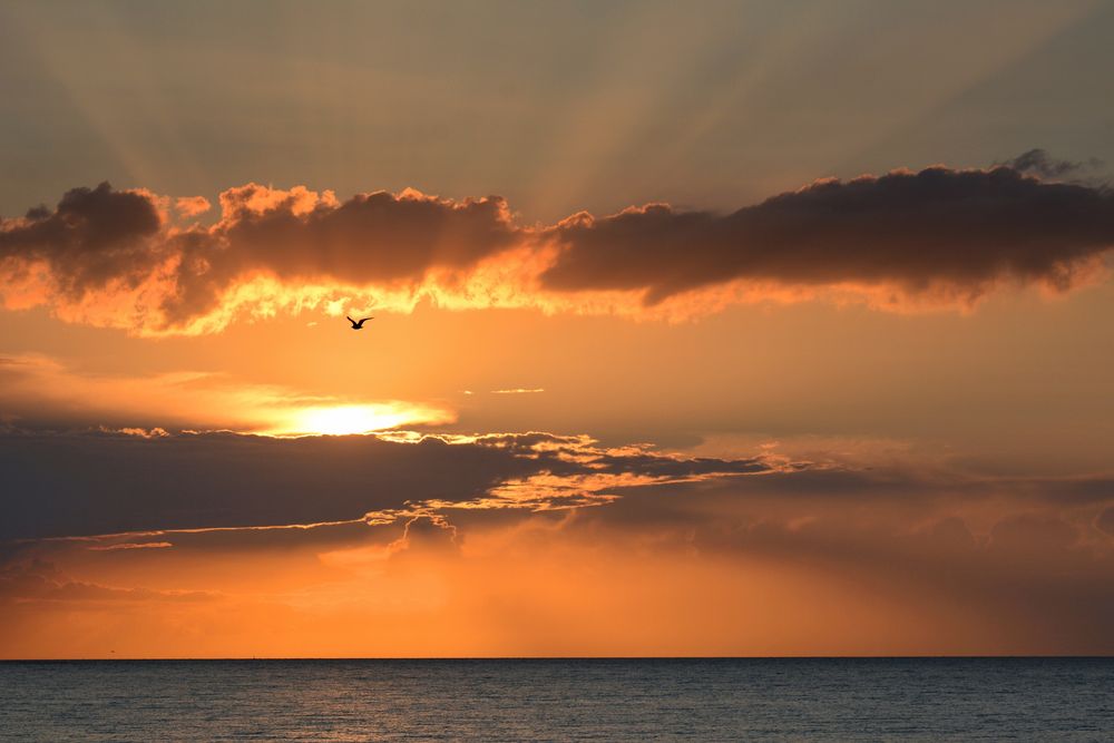 die Strahlen der Sonne