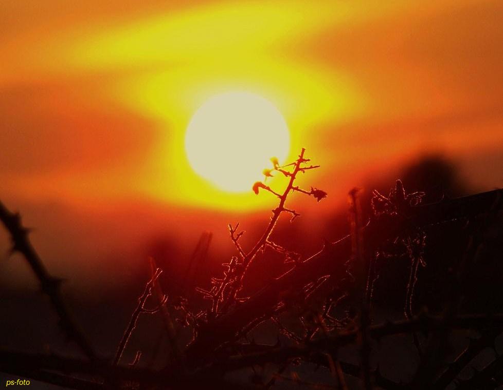 Die Strahlen der untergehenden Sonne!