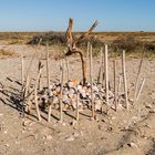 Die Strandbewohner haben seltsame Bestattungsriten